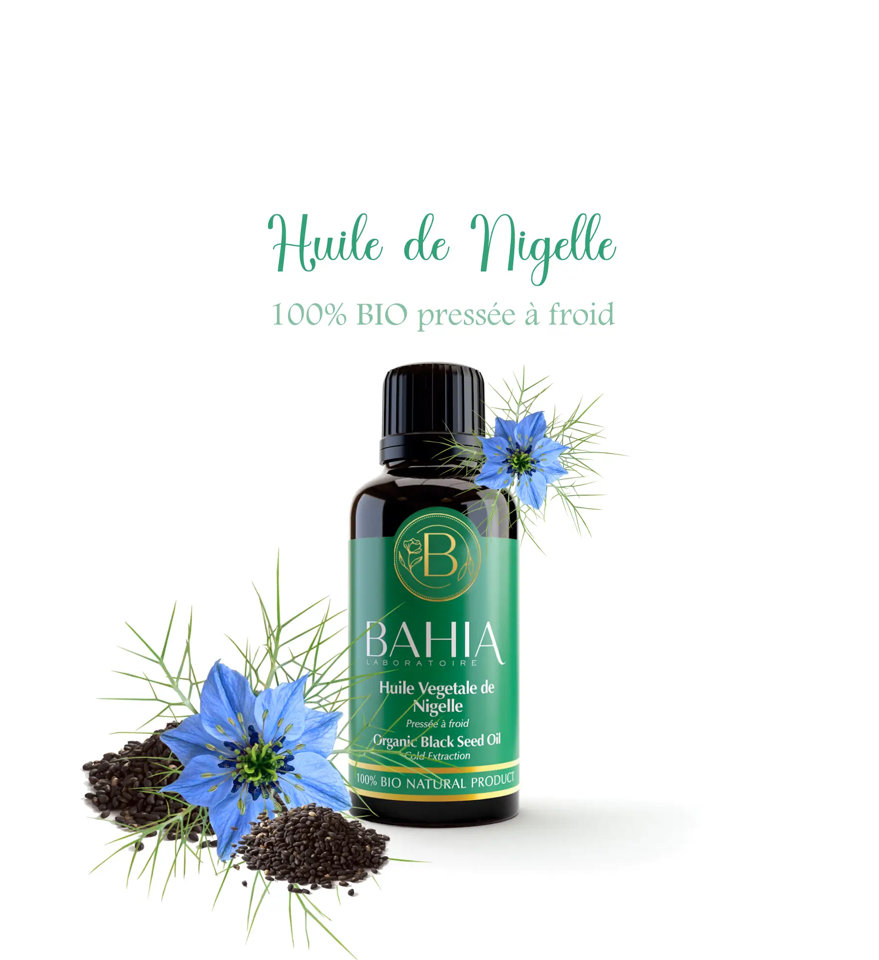 HV de nigelle